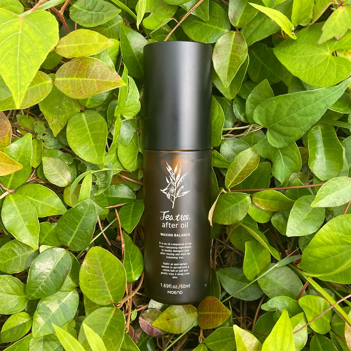 11MOEND ティーツリー(TT)オイル 50ml